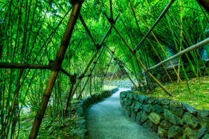 Mawlynnong clean village with greenery and bamboo skywalk in Meghalaya