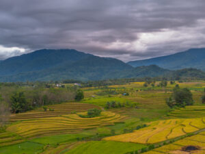 Ziro Valley green hills with rice terraces and tribal villages