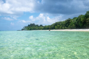 Radhanagar Beach on Havelock Island with turquoise water and palm trees
