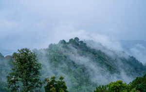 Jampui Hills in Tripura with orange orchards and panoramic landscape