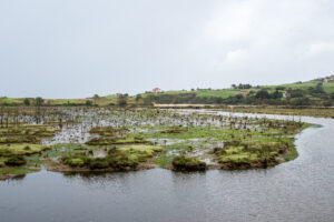 Loktak Lake in Manipur with phumdis (floating islands) and calm waters
